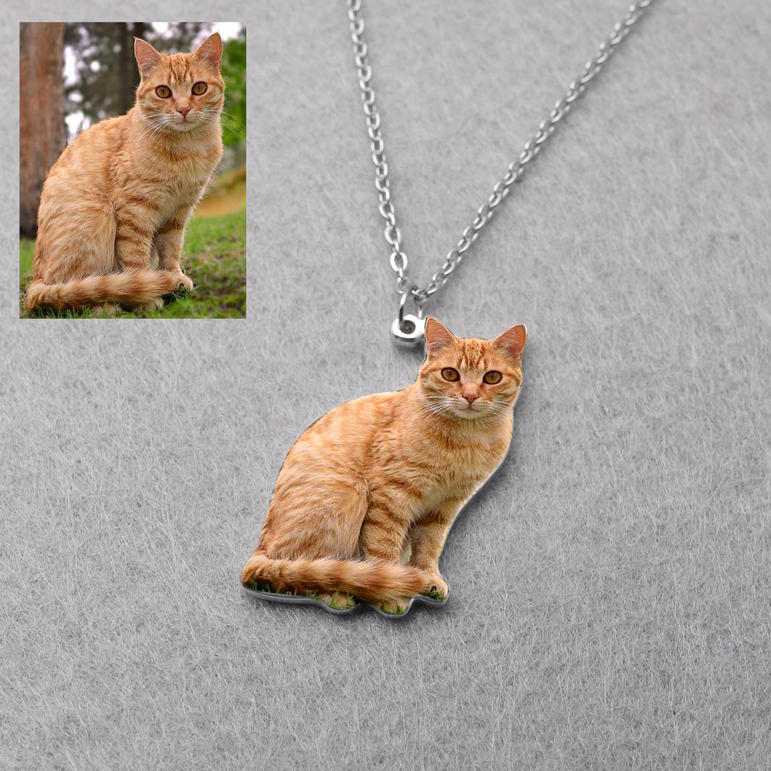 Personalized Pet Picture Neckl - Fashion Women Picture 评论和价格